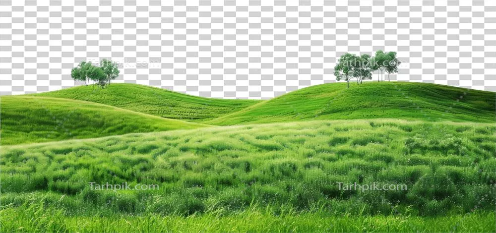 عکس دوربری تصویری زیبا از تپه های سبز و درختان سرسبز در یک منظره آرام