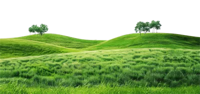 عکس دوربری تصویری زیبا از تپه های سبز و درختان سرسبز در یک منظره آرام