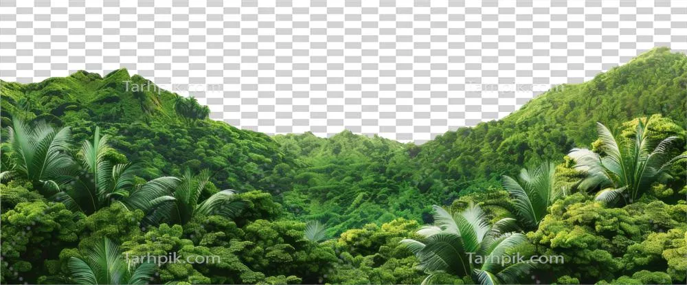 عکس دوربری تصویری زیبا از جنگل استوایی با رنگ های زنده و شفاف