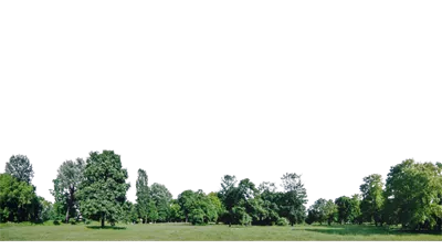 عکس دوربری مجموعه ای از پس زمینه های زیبا و طبیعی برای پروژه های دیجیتال شما