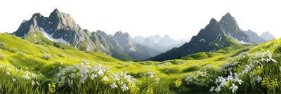 عکس دوربری منظره کوهستانی زیبا با دشت های گل دار در پس زمینه شفاف