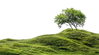 عکس دوربری تصویری از تپه های سبز و سرسبز با درختان در یک منظره آرام و دلنشین