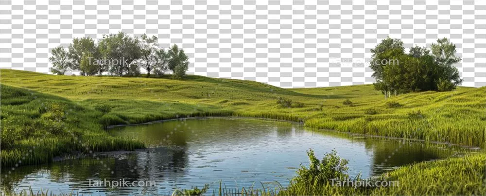 عکس دوربری رودخانه ای آرام که از میان مناظر سبز و سرزنده عبور می کند