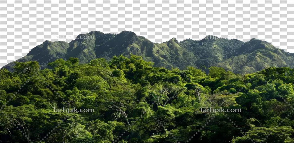 عکس دوربری منظره کوهستانی سرسبز و انبوه با جنگل های گرمسیری و زمین های ناهموار
