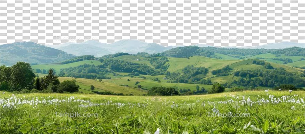 عکس دوربری تصویری زیبا از تپه های سبز و دشت های سرسبز در یک منظره روستایی آرام