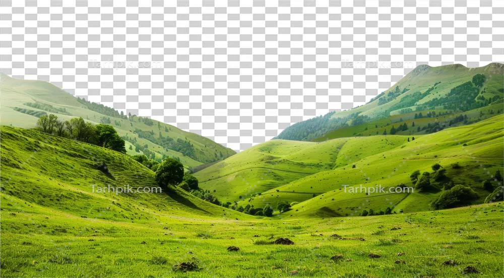 عکس دوربری تصویری زیبا از تپه های سبز و سرسبز در یک منظره روستایی آرام