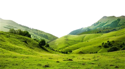 عکس دوربری تصویری زیبا از تپه های سبز و سرسبز در یک منظره روستایی آرام