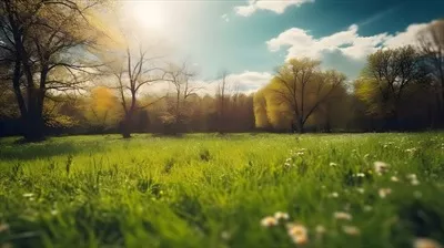 عکس منظره بهاری با چمن های مرتب و درختان سرسبز در دل طبیعت