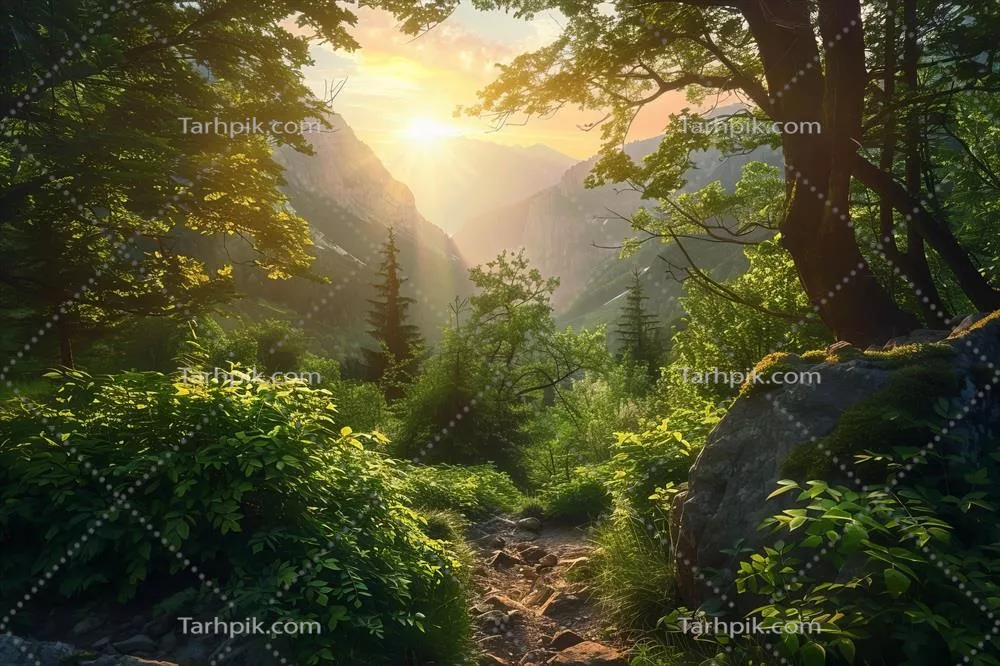 عکس مسیر پیاده روی به دره ای باشکوه که درختان سرسبز آن را احاطه کرده اند