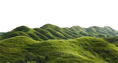 عکس دوربری تصویری از تپه های سبز و آرام در یک منظره روستایی دلنشین