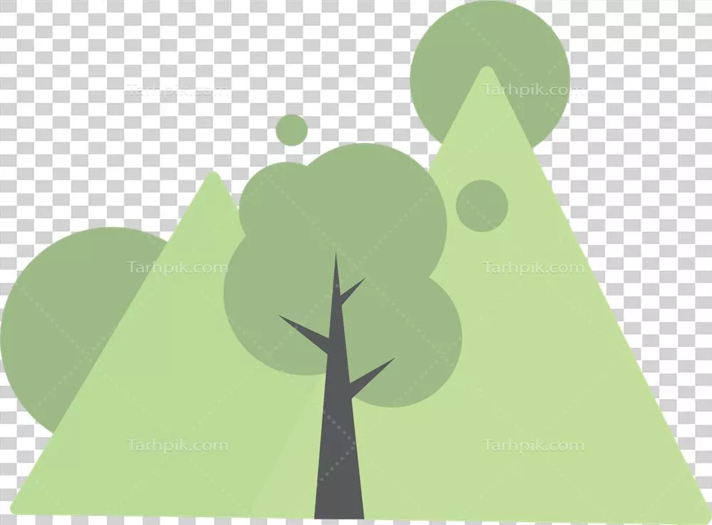 عکس دوربری تصویری زیبا از درخت سبز با طراحی جذاب و دلنشین