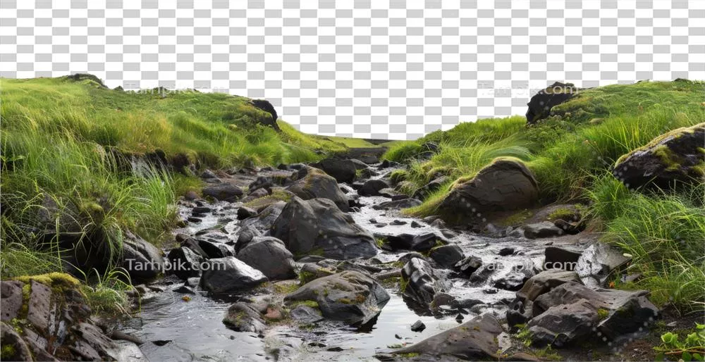 عکس دوربری چمنزار آرام با جویبار سنگی شفاف در پس زمینه ای شفاف