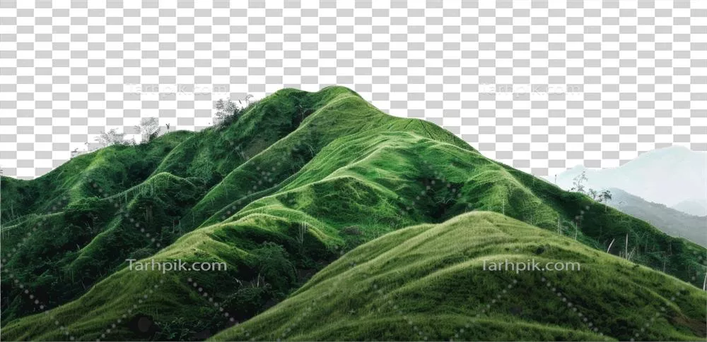 عکس دوربری تصویری زیبا از تپه های سبز و سرسبز در یک منظره روستایی آرام