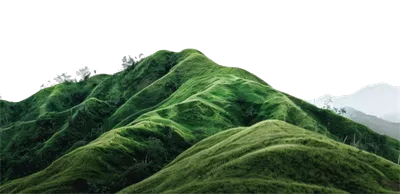 عکس دوربری تصویری زیبا از تپه های سبز و سرسبز در یک منظره روستایی آرام