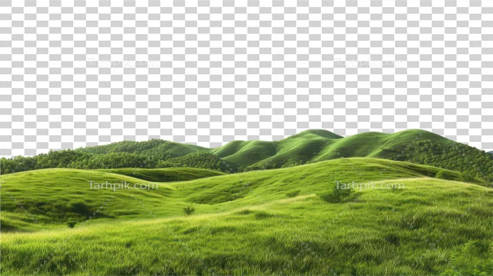 عکس دوربری تصویری از تپه های سبز و آرام در یک منظره روستایی دلنشین