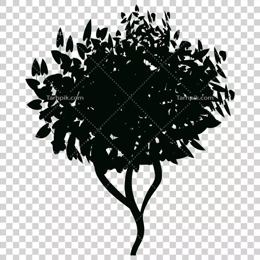 عکس دوربری گیاهان زینتی و دکوری برای باغچه و فضای سبز شما