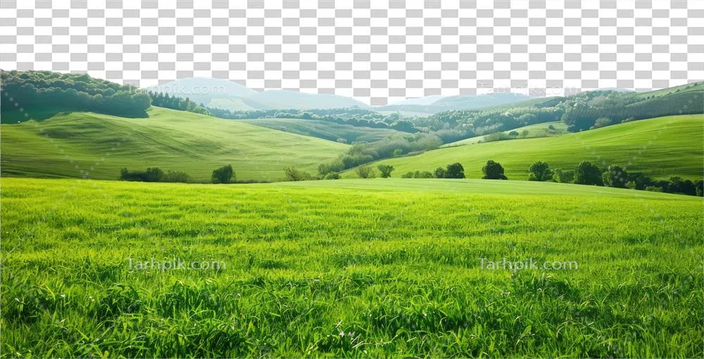 عکس دوربری منظره ای زیبا از دشت های سرسبز و کوهستانی در حومه شهر