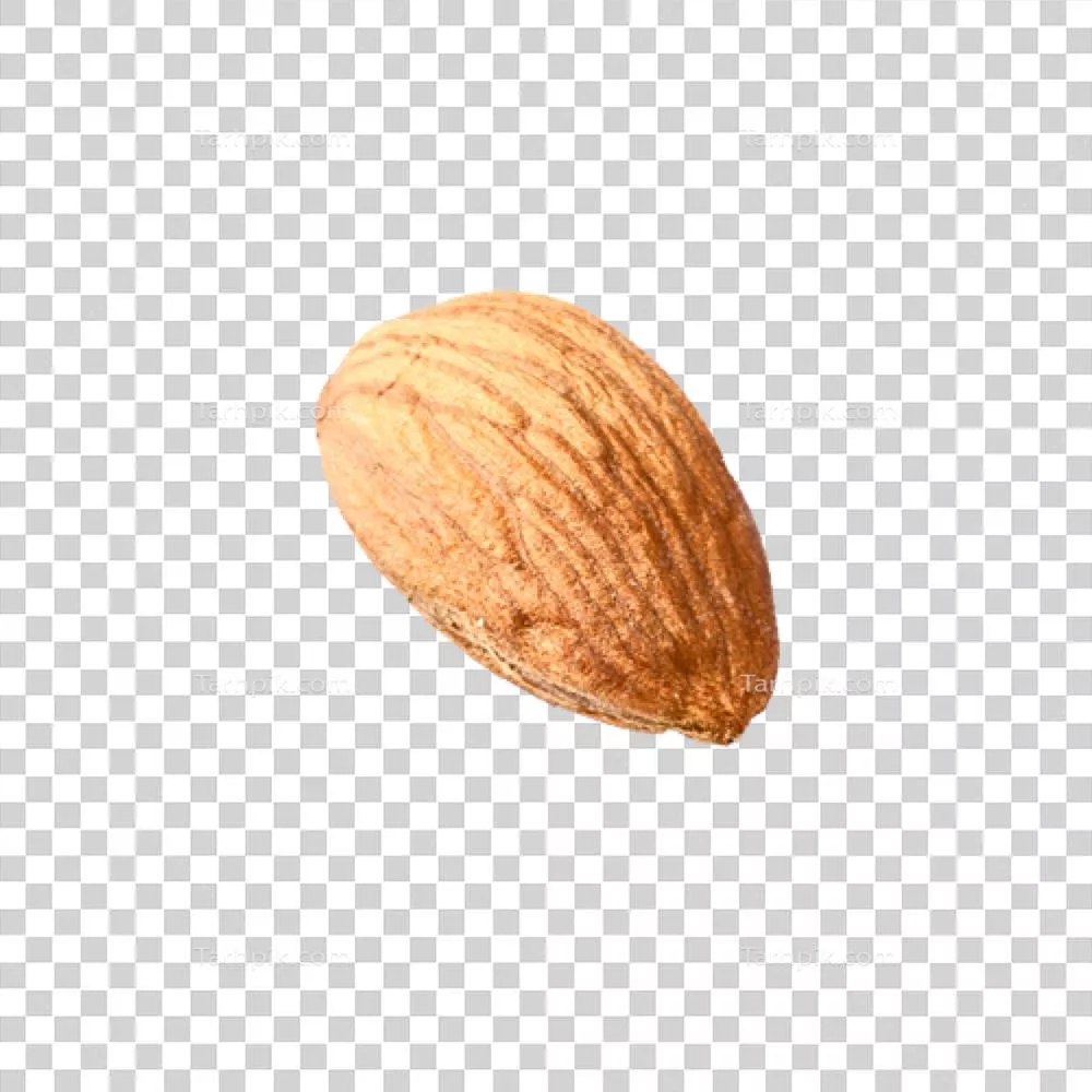 عکس دوربری تصویری زیبا و باکیفیت از مغز بادام با جزئیات دقیق