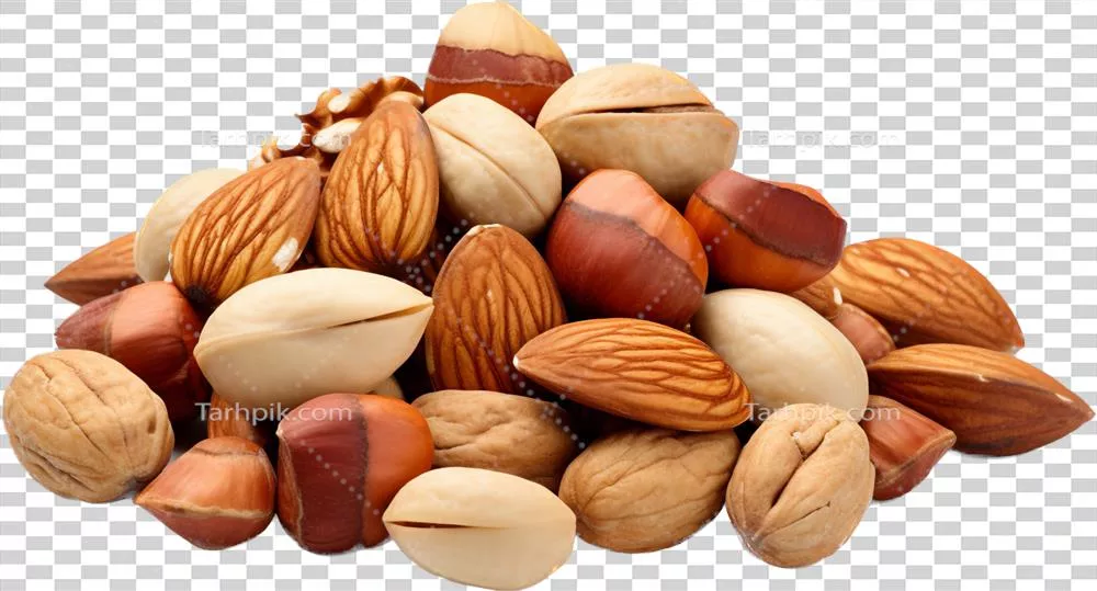 عکس دوربری بررسی و تحلیل انواع مغزها و خواص آن ها با استفاده از هوش مصنوعی