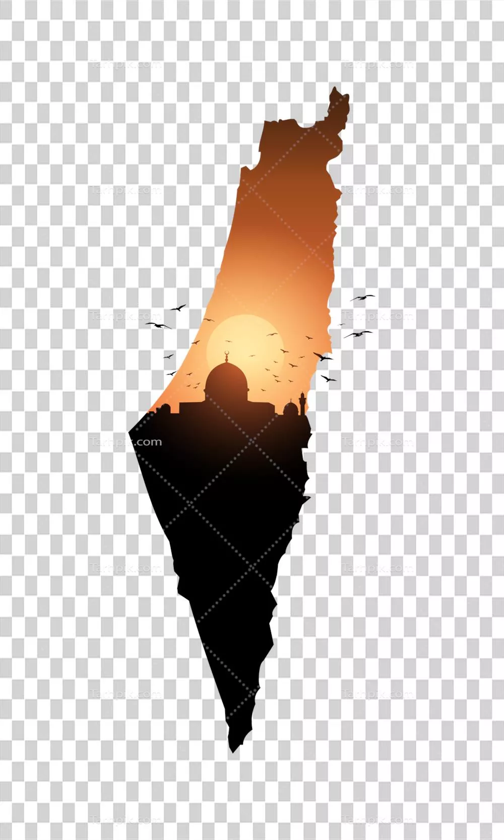 عکس دوربری نقشه فلسطین با پس زمینه شفاف و طراحی زیبا برای استفاده در پروژه ها