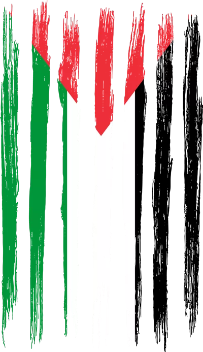 عکس دوربری پرچم فلسطین: نماد مقاومت و هویت ملی در هنر و طراحی