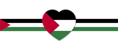 عکس دوربری پرچم فلسطین با طراحی زیبا و پس زمینه شفاف برای استفاده در پروژه ها