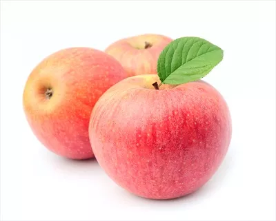 عکس تصویری زیبا از سیب های رسیده و تازه در باغ