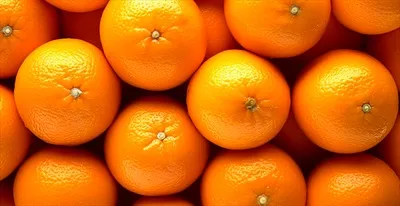 عکس تصویری واقع گرایانه از پرتقال های تازه در نمای نزدیک با الگوهای استوایی