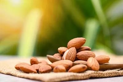 عکس بادام های خوشمزه و مغذی در طبیعت با پس زمینه ای سبز و دلنشین