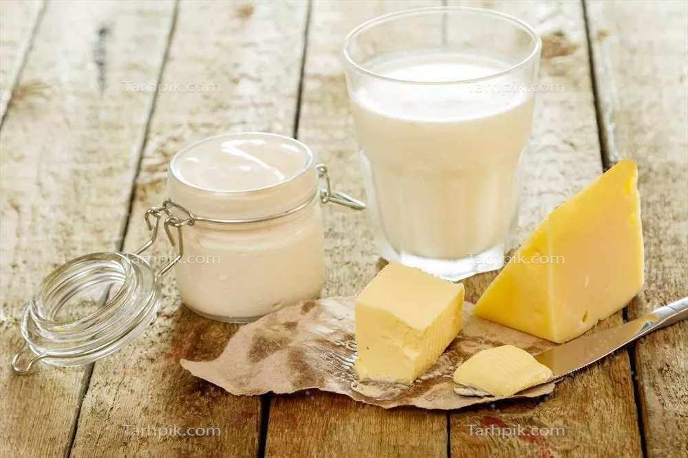 عکس معرفی انواع محصولات لبنی و خواص آن ها برای سلامتی