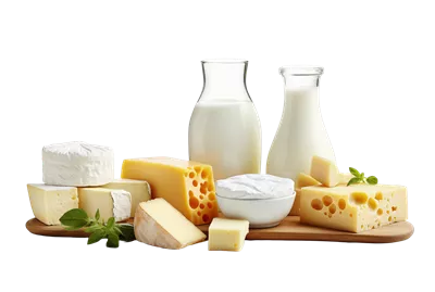 عکس دوربری مجموعه ای از محصولات لبنی شامل شیر، پنیر و کره با کیفیت عالی