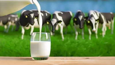 عکس ریختن شیر در یک لیوان شیشه ای از بطری بر روی میز چوبی