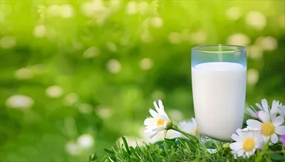 عکس یک لیوان شیر بر روی چمن سبز: نماد روز جهانی شیر