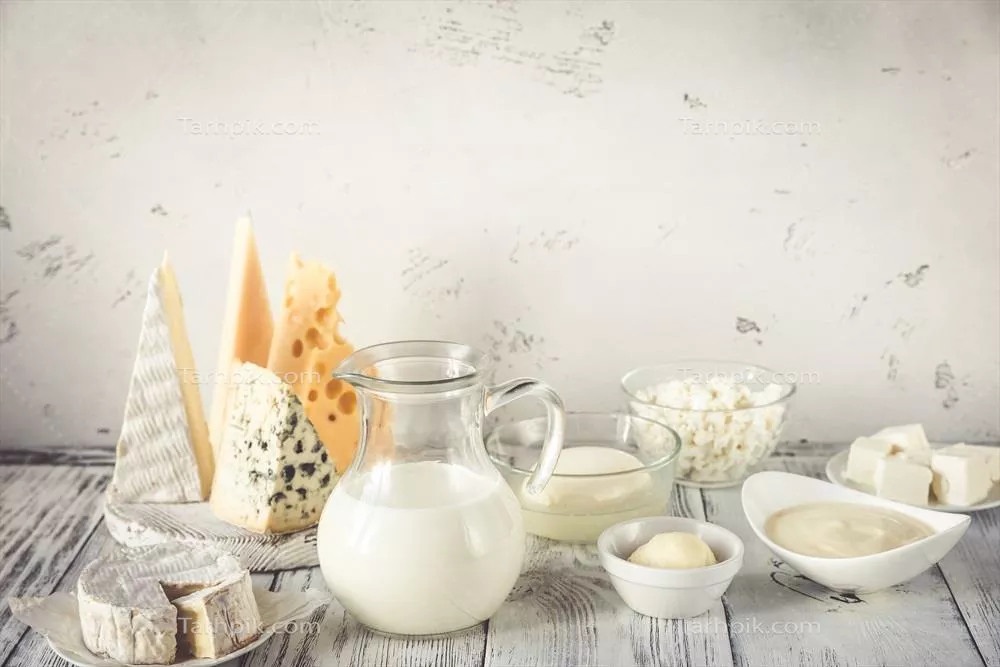 عکس مجموعه ای از محصولات لبنی با تنوع بالا و کیفیت ممتاز