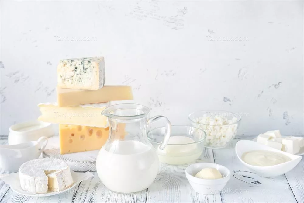 عکس مجموعه ای از محصولات لبنی با تنوع بالا و کیفیت ممتاز