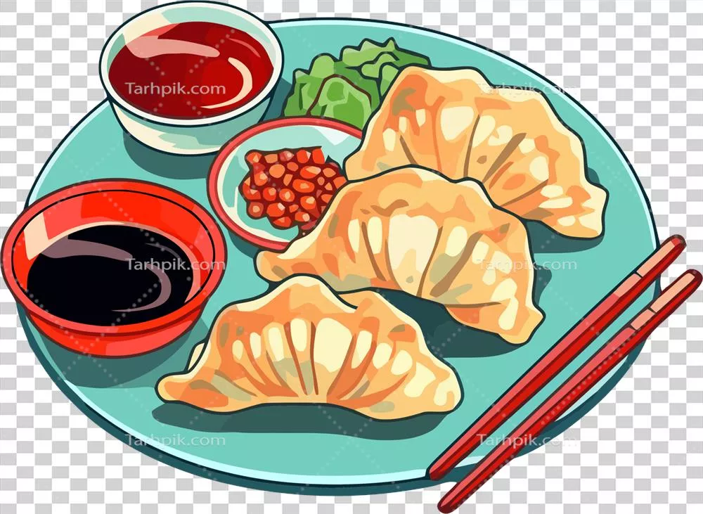 عکس دوربری غذاهای سنتی ژاپنی: گازا، دمی از طعم و هنر آشپزی آسیایی