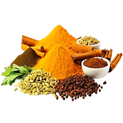 عکس دوربری ترکیب متنوع ادویه جات و گیاهان در ظروف سفالی با اندازه های مختلف