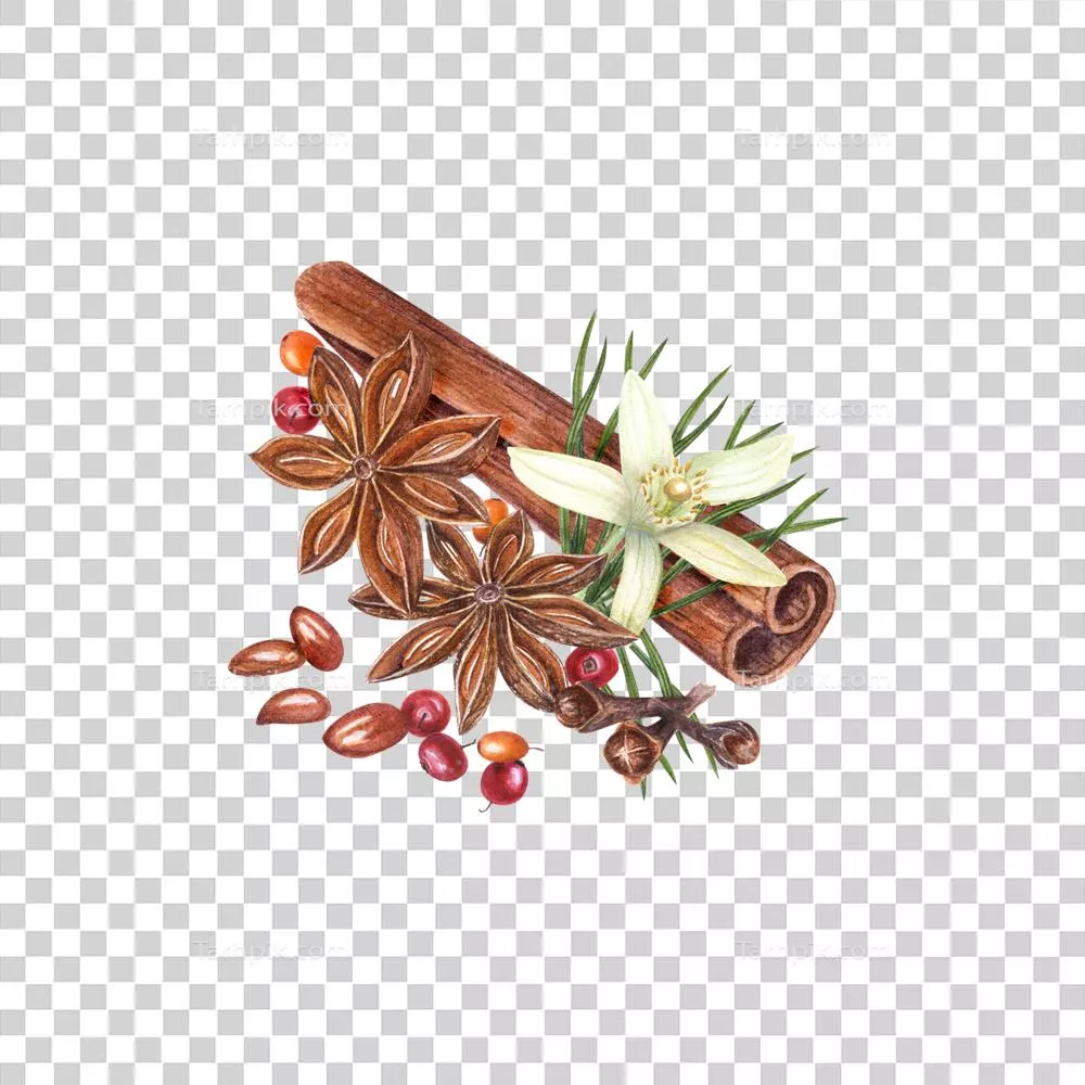 عکس دوربری تصویری زیبا از مجموعه ادویه جات شامل زردآلو، دارچین و گل لیمو