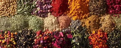 عکس ترکیب رنگارنگ ادویه جات و گیاهان خشک در یک تصویر زیبا