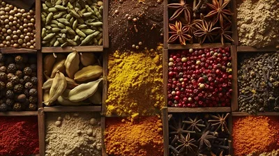 عکس مجموعه ای از ادویه های کامل در چیدمانی هماهنگ و جذاب