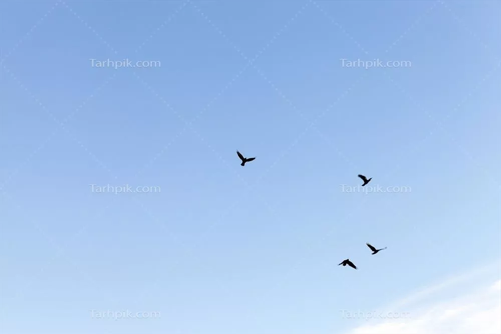 عکس تصویری زیبا از آسمان پر از ابرها در یک روز دلپذیر