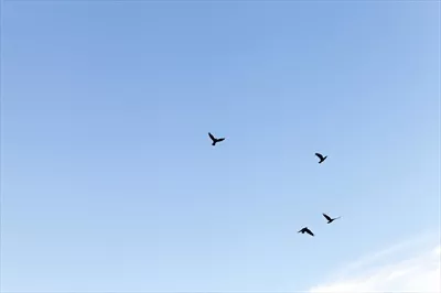 عکس تصویری زیبا از آسمان پر از ابرها در یک روز دلپذیر