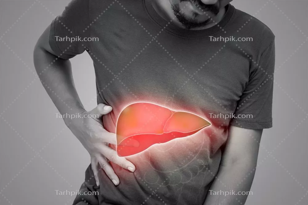 عکس تصویری از کبد انسان بر روی بدن مرد با پس زمینه خاکستری و مشکلات کبدی