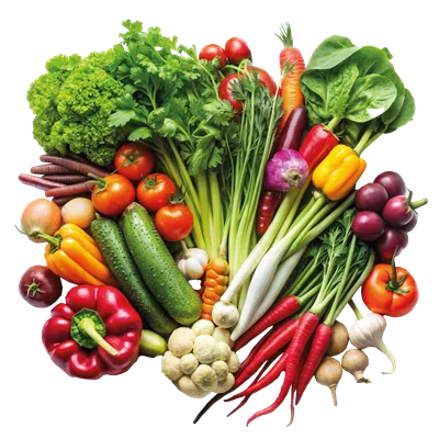عکس دوربری نمایشگاهی از سبزیجات تازه و ارگانیک با رنگ های متنوع و جذاب