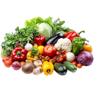 عکس دوربری مجموعه ای تازه و رنگارنگ از سبزیجات در نمایشگاه