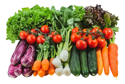 عکس دوربری ترکیب متنوعی از سبزیجات تازه و خوشمزه برای استفاده در آشپزی