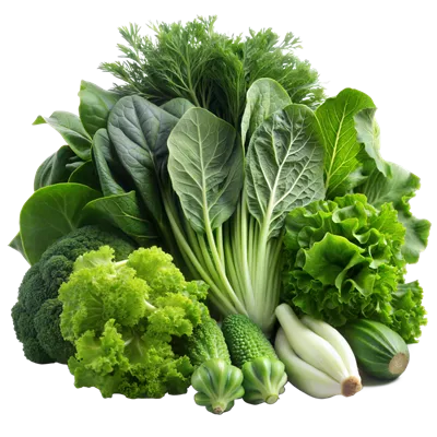 عکس دوربری مجموعه ای از سبزیجات تازه و خوشمزه در نمایشگاه