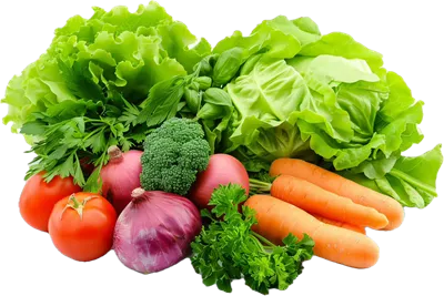 عکس دوربری ترکیب تازه و متنوعی از سبزیجات و گیاهان خوشمزه و سالم