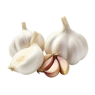 عکس دوربری تصویری زیبا از گیاه سیر به همراه توضیحات مفصل درباره خواص آن