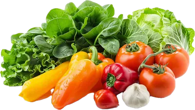 عکس دوربری ترکیب تازه و متنوعی از سبزیجات و گیاهان خوشمزه و سالم